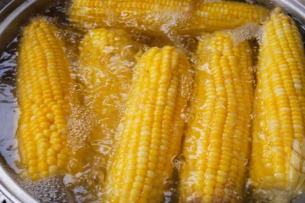 Yellow corn is boiling water in a pot