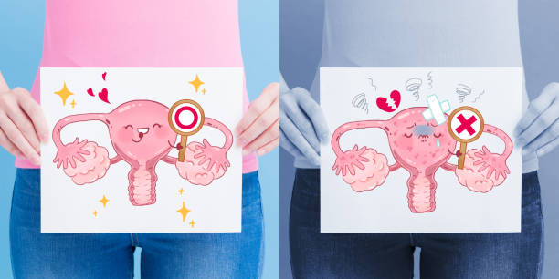 istock woman take uterus billboard 948966314