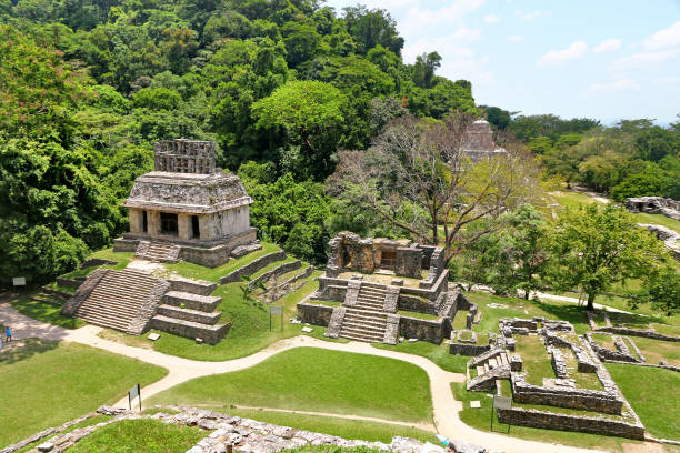 istock Ancient ruins in Palenque, Mexico 948975724