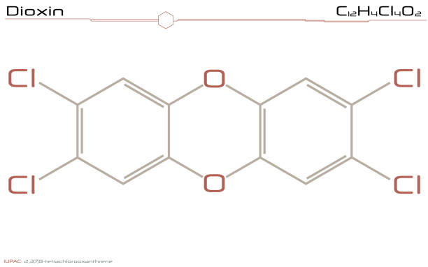 Molecule of Dioxin Large and detailed infographic of the molecule of Dioxin. persistent organic pollutants stock illustrations