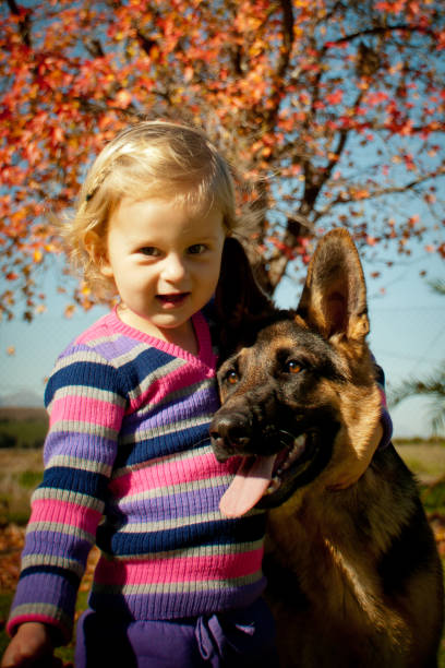 istock young girl with German shepherd 949033558
