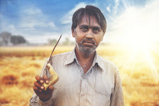 istock Farmer with sickle in wheat filed 949037558
