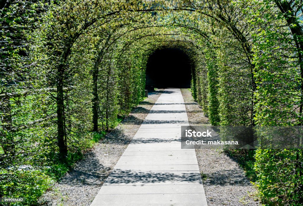 lush green archway of trees leading to a dark exit lush green archway of trees leading to a dark exit leading nowhere Arch - Architectural Feature Stock Photo