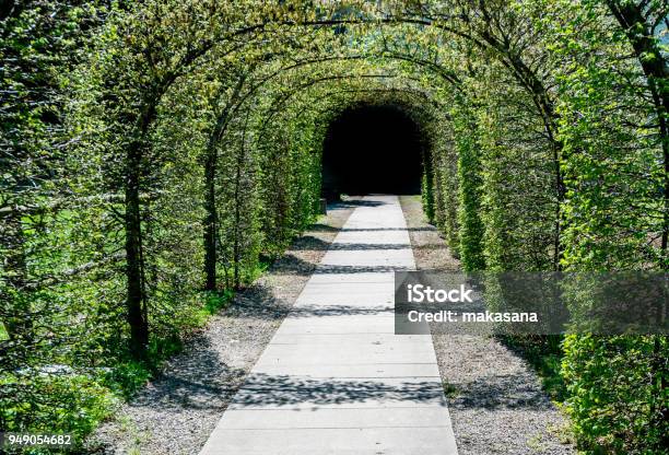 Lush Green Archway Of Trees Leading To A Dark Exit Stock Photo - Download Image Now - Arch - Architectural Feature, Bent, Blossom