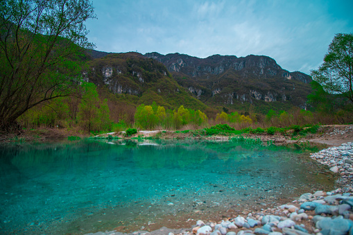 Green lake, not deep, in the middle of trees, in spring with a mountain in the background. In the middle of the image we can see plants that are growing, of an intense green color. At the bottom right there are the pebbles on the bottom of the pond.