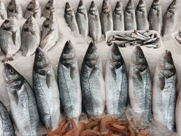 istock Fresh bonito for sale 949077782
