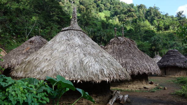 istock Indigenous huts of the Sierra Nevada de Santa Marta 949082148