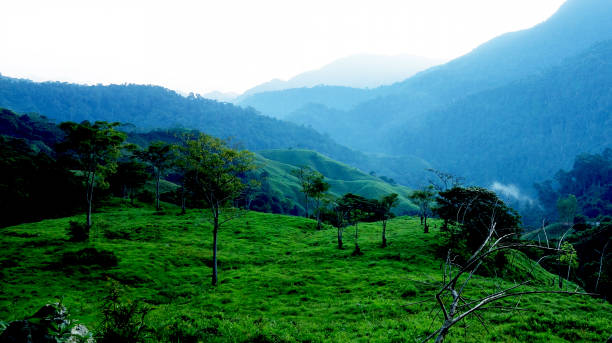 istock Foggy morning in the Sierra Nevada de Santa Marta 949082192