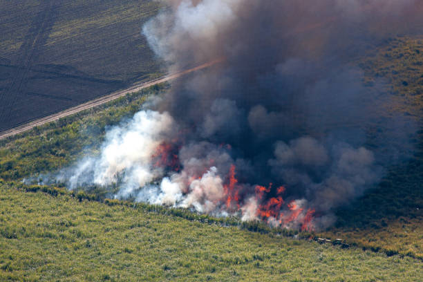 istock Aerial view of burning Sugarcane fields 949082658