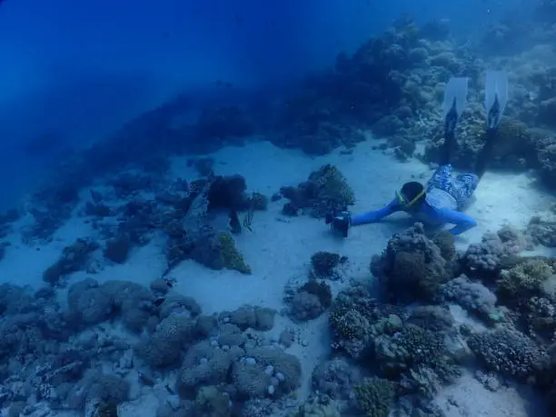 scuba, diving, sea, vacation, photo, fish, coral, reef, underworld, challenge, liveaboard, fun, skin, dive, blue, color, fly, flying, bubble, dream, relax, breath, boat, treasure