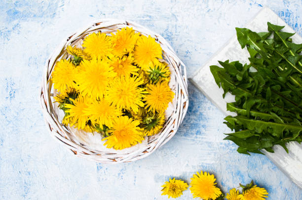 istock Dandelion flowers in wicker bowl top view 949087622