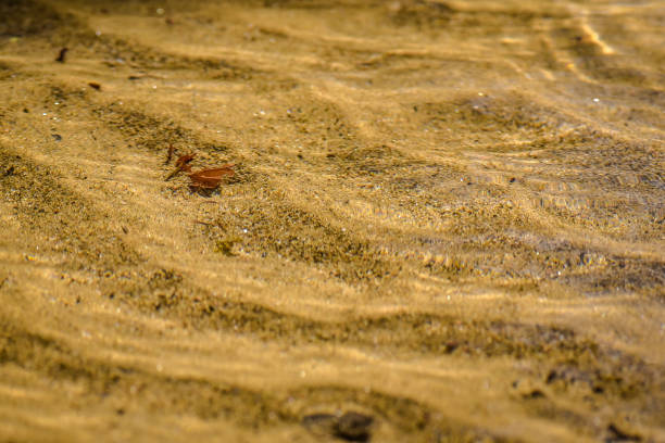istock The bottom of a mountain river 949099446