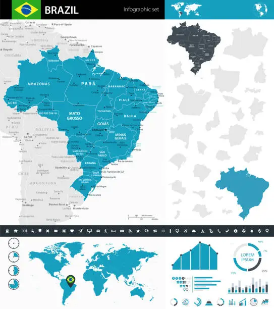 Vector illustration of 08 - Brazil - Murena Infographic 10