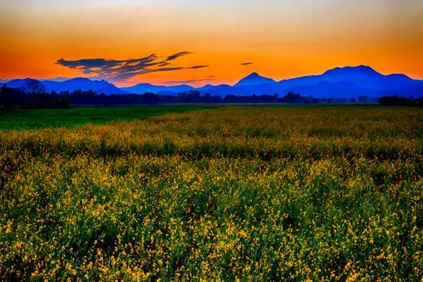 Photo of Golden Sky over mountains with fields