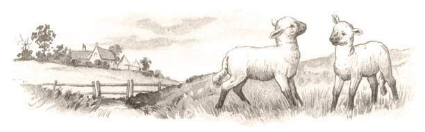 Two lambs standing in a peaceful rural meadow with a distant farmhouse.From “Nurse’s Memories” written by Charlotte Yonge and illustrated by Frederick Marriott and Florence Maplestone. Published in 1888 by E. & J.B. Young & Co, New York and printed in London by Eyre & Spottiswoode.