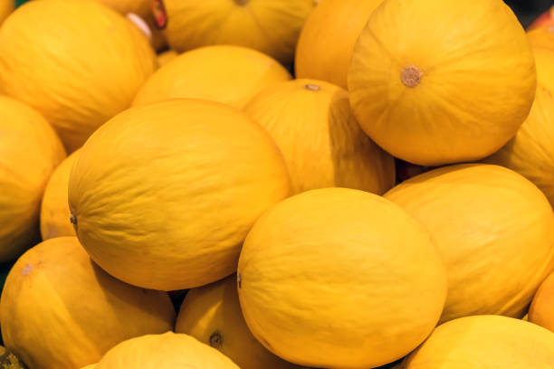 yellow melon texture stock photo