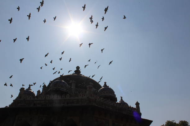 istock mosque doom with sun and birds 949114668