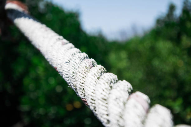 Close-up Braided rope in nature background