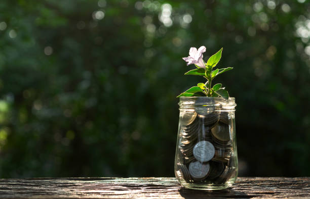 istock coins in glass jar with plant concept under garden background. 949119708