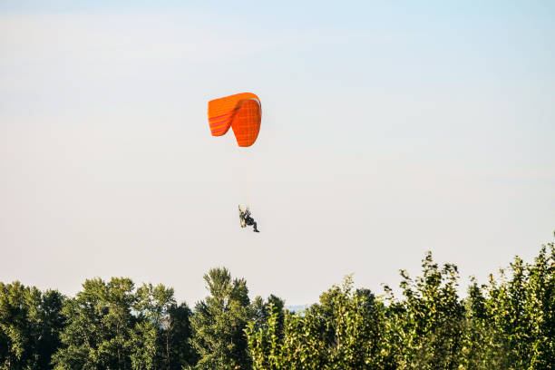 istock Flight on motor glider over the tops of green trees 949122978