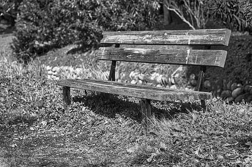 One wooden bench on sunny day in Italy, public parkland.
