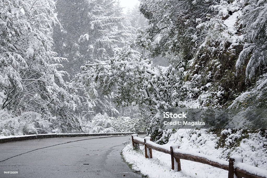 Verschneite Road - Lizenzfrei Argentinien Stock-Foto