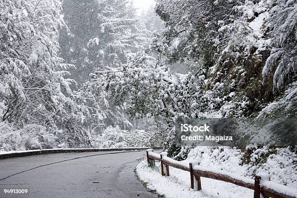 Verschneite Road Stockfoto und mehr Bilder von Argentinien - Argentinien, Bariloche, Biegung