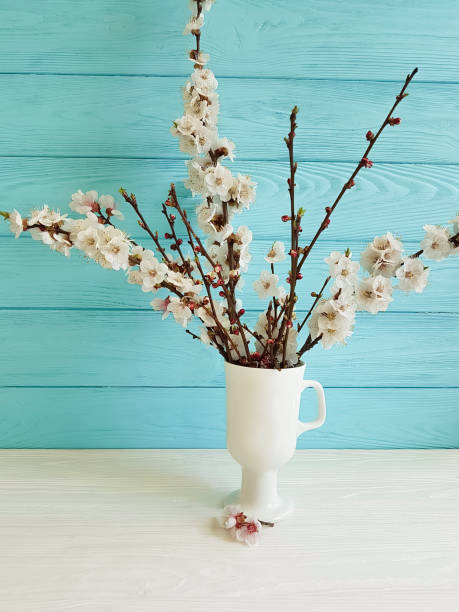 istock cherry blossom branch in a vase on a colored wooden background, spring, 949131124