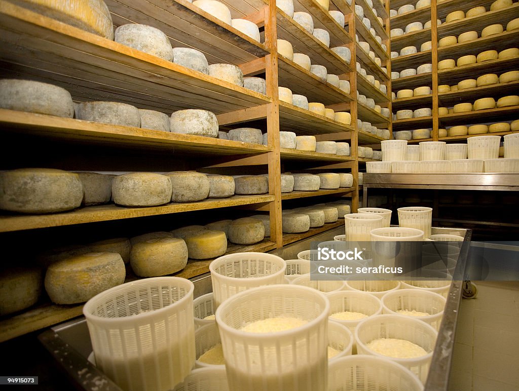 pecorino di farindola stagionatura del - Foto stock royalty-free di Formaggio