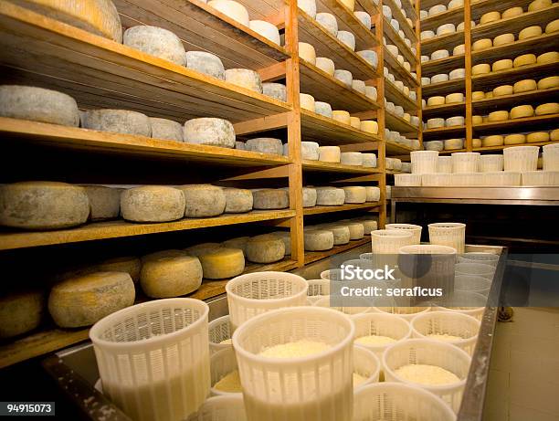 Stagionatura Do Queijo Pecorino Di Farindola - Fotografias de stock e mais imagens de Queijo - Queijo, Fabricar, Quinta de Laticínios