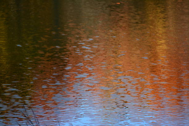Images of autumn colors in the Adrian, Michigan area