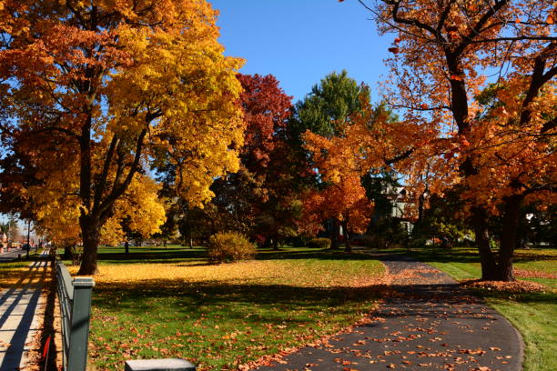 istock Autumn Colors in Michigan 949153984
