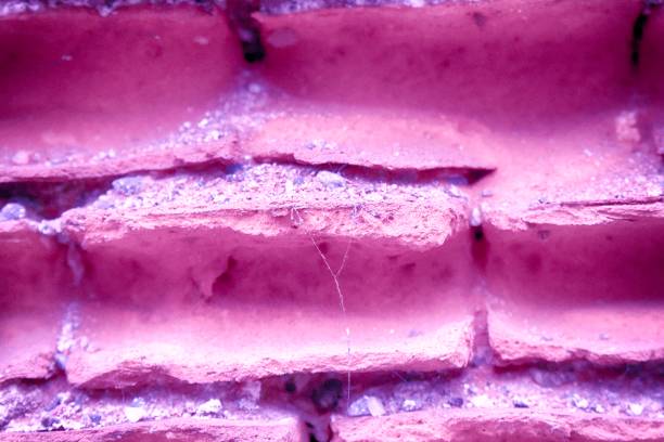 istock Old ultra purple brick wall, stone background or rock surface - good for web site or mobile devices 949159142