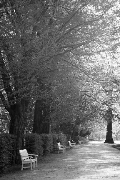 istock white banches  in Lazienki Park Warsaw Poland 949163712