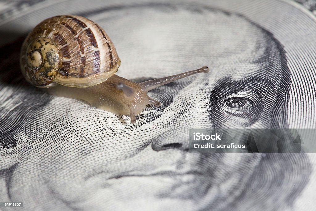 buying houses  Snail Stock Photo