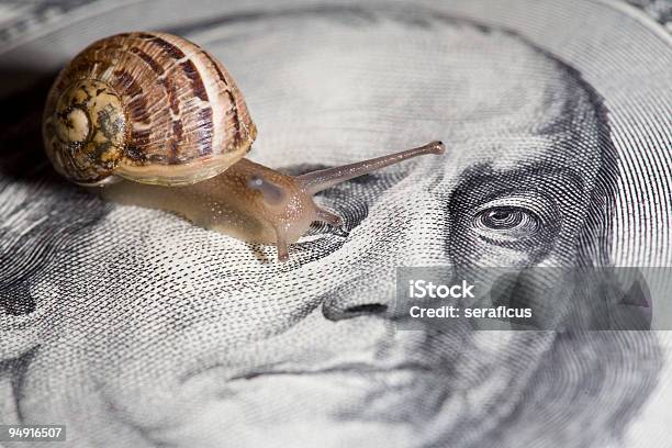 Buying Houses Stock Photo - Download Image Now - Snail, American One Hundred Dollar Bill, Backgrounds