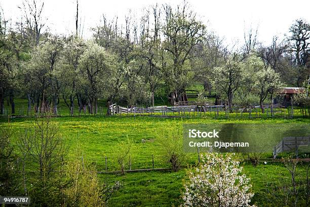 Primavera De Naturaleza Foto de stock y más banco de imágenes de Agricultura - Agricultura, Aire libre, Belleza de la naturaleza