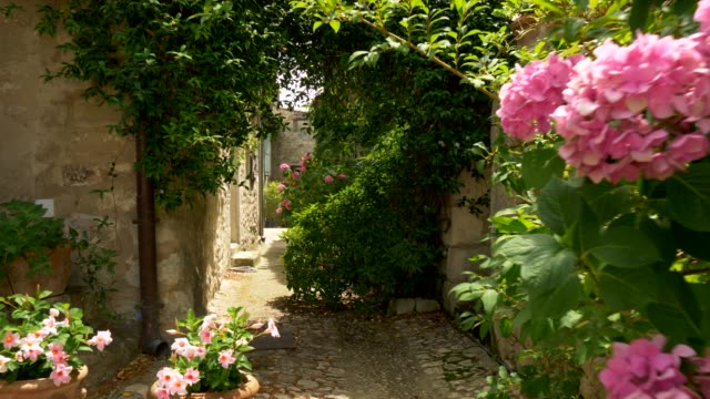 Steadicam shot of narrow paved street with greenery. Lacoste, France. 4K, UHD