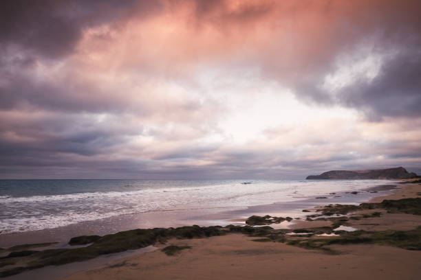 istock Wet stones with seaweed, beach landscape 949171024