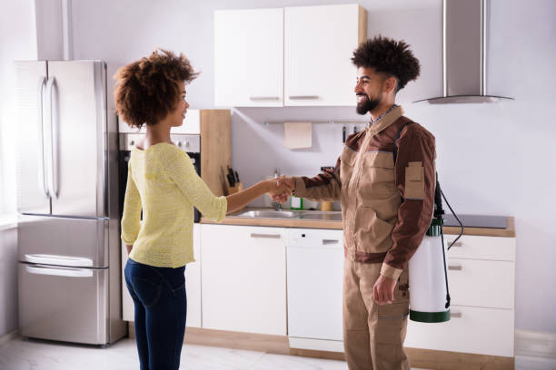 istock Pest Control Worker Shaking Hands With Woman 949183222