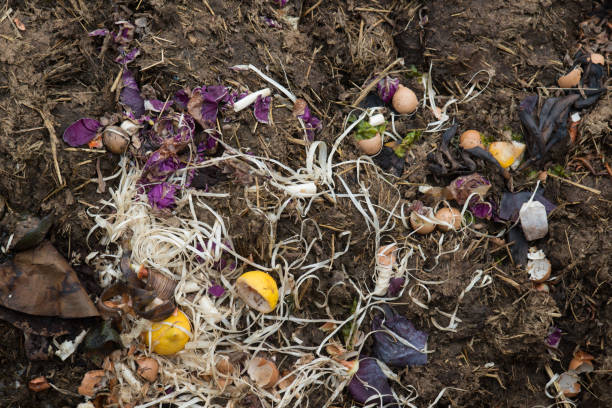 istock compost heap in full-frame format filling - dung heap 949183528