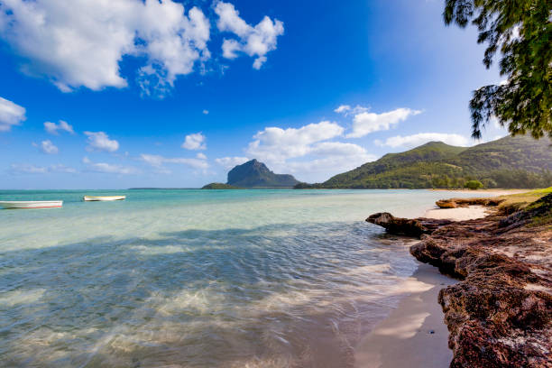 fishermen boats resting in the lagoon of le morne peninsula on mauritius island, indian ocena, africa.