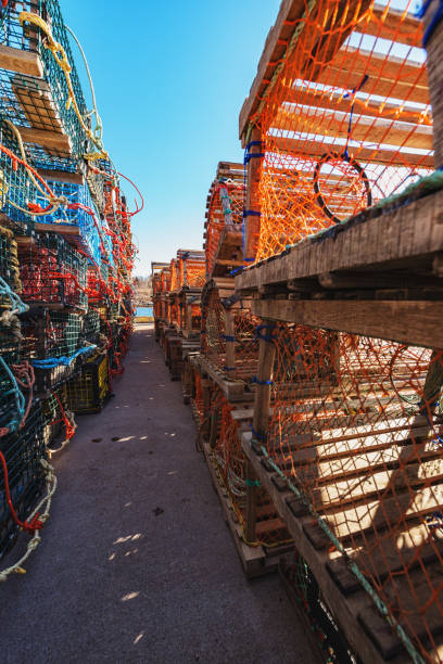 istock Lobster Traps on Wharf 949186158