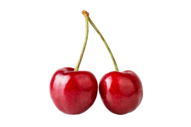 Pair of ripe sweet cherries isolated on white Pair of ripe sweet cherries isolated on white background cherry photos stock pictures, royalty-free photos & images