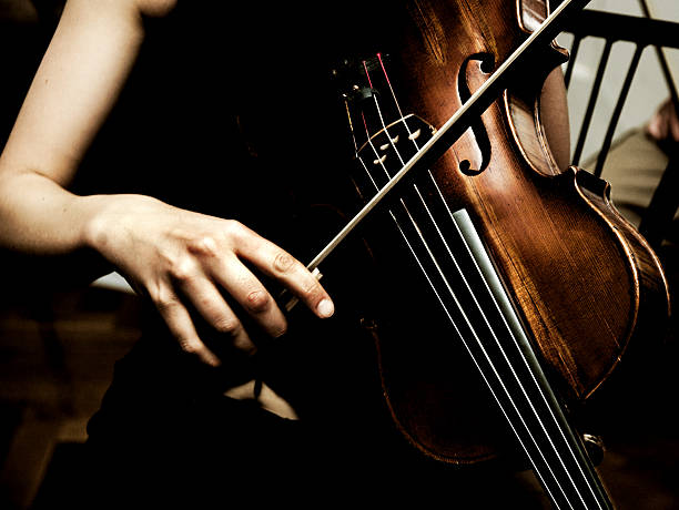 Violin musician stock photo