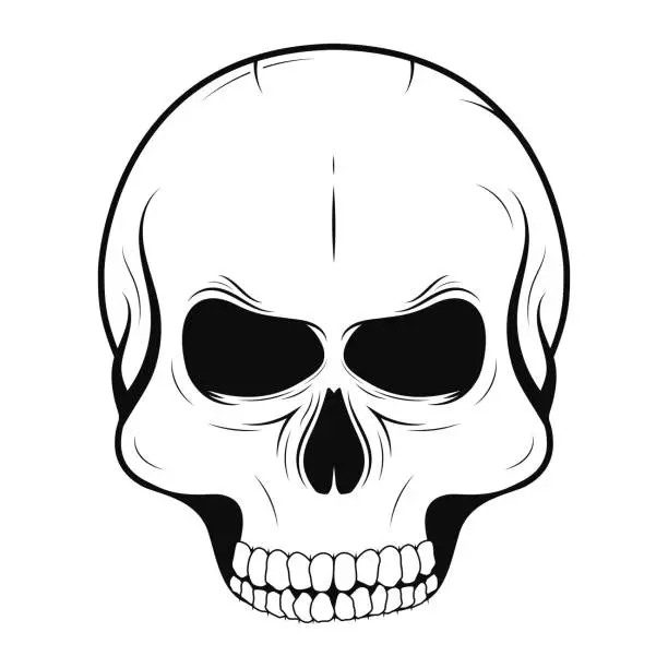 Vector illustration of Vector skull in monochrome and vintage tattoo style. Black human skull isolated on white background