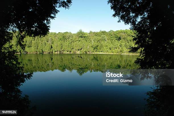 Forest Lake - Fotografie stock e altre immagini di Acqua - Acqua, Aiuola, Albero