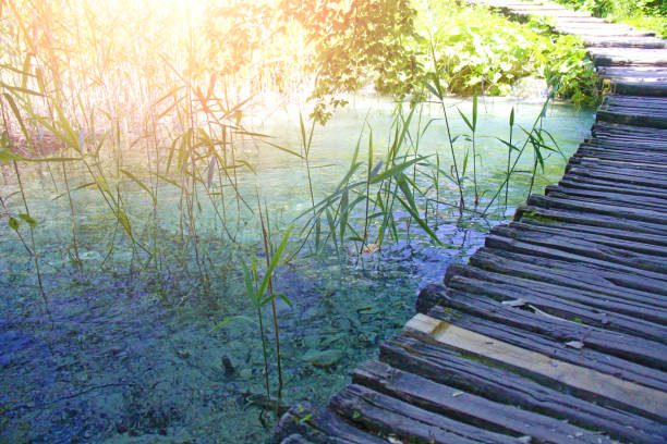 istock Croatia. A bridge on the Plitvice Lakes 949196248