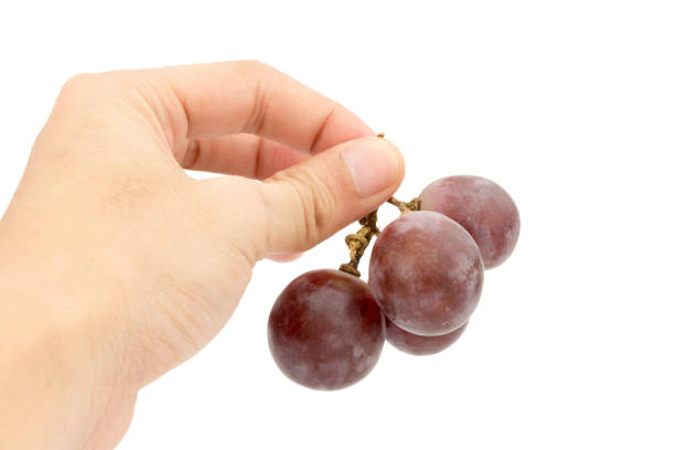 child hand picked grape for snack