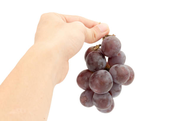 istock red ripe grapes on hand. Isolated on a white background 949202612